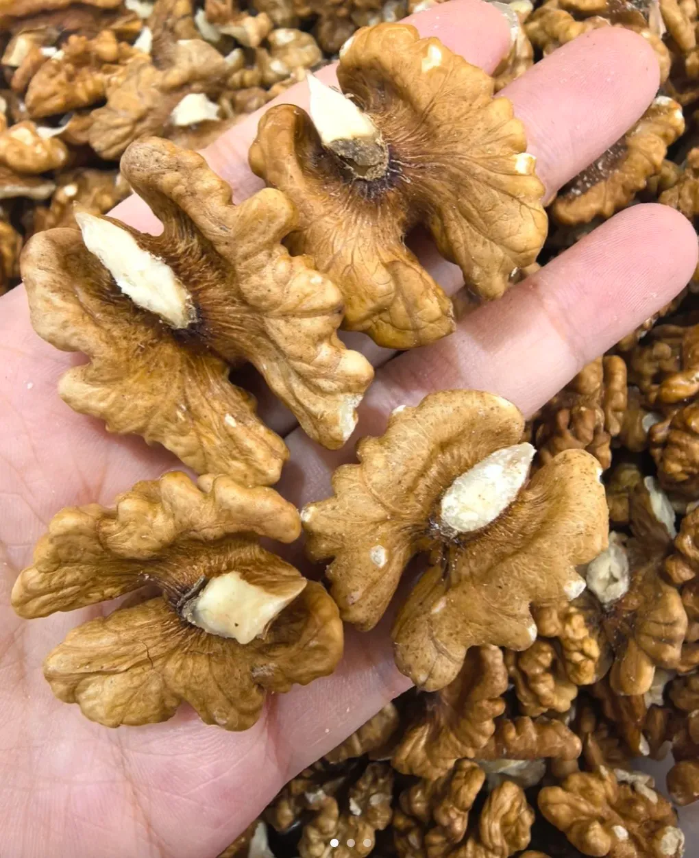 Doctors Reveal That Eating Walnuts Daily Can Transform Your Heart, Brain, and Gut Health