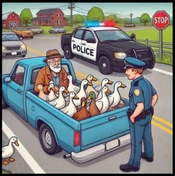 The Ducks, the Jail Cell, and the Scarecrow Surgeon: A Trio of Laughs to Brighten Your Day