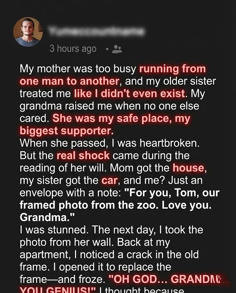 Grandma Last Gift The Photo That Changed Everything Forever-