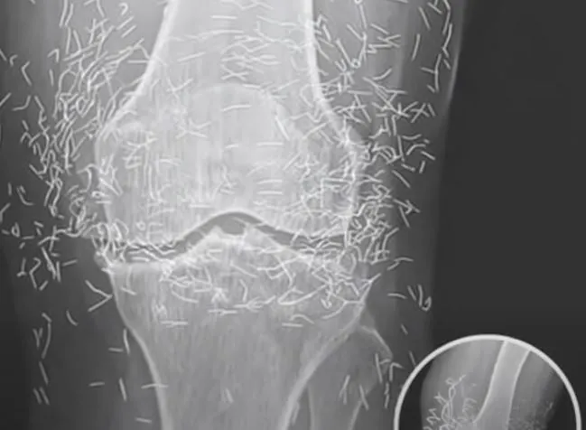 The Golden Mystery Beneath Her Skin