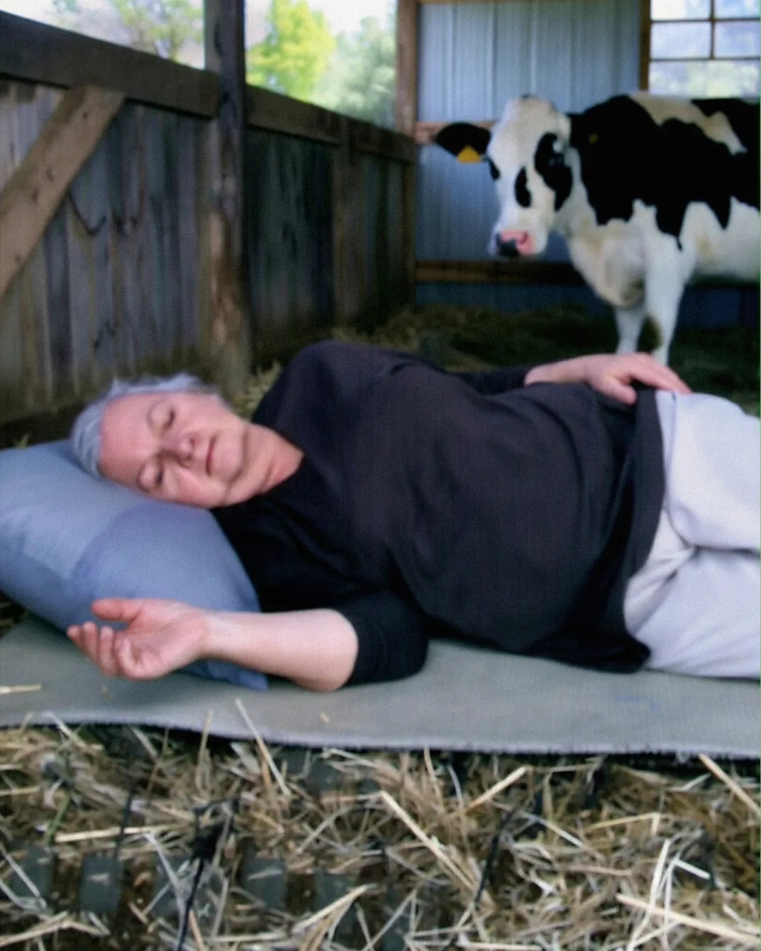 I Was Forced to Move Into an Old Barn — Until Fate Reminded Everyone Who the Real Owner Was