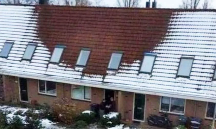 The House Without Snow and the Secret It Hid-