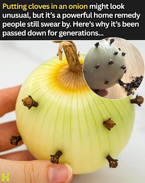 The Quiet Old World Trick of Pressing Cloves Into an Onion and How This Simple Ritual Became a Comforting Remedy