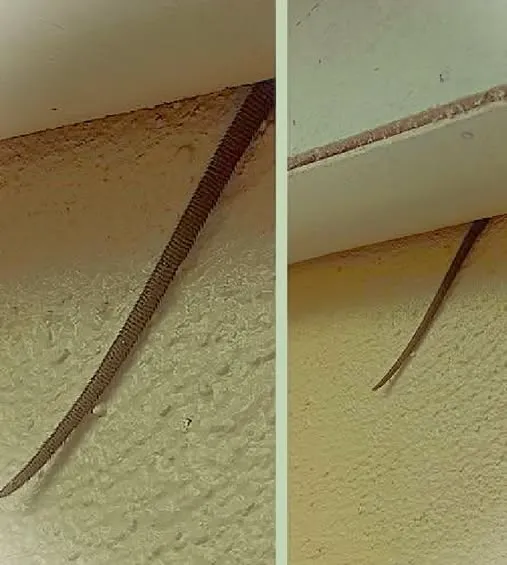 The Internet Could Not Stop Talking About The Terrifying Mystery Hanging From A Ceiling After One Homeowner Shared A Photo That Took A Dark Turn