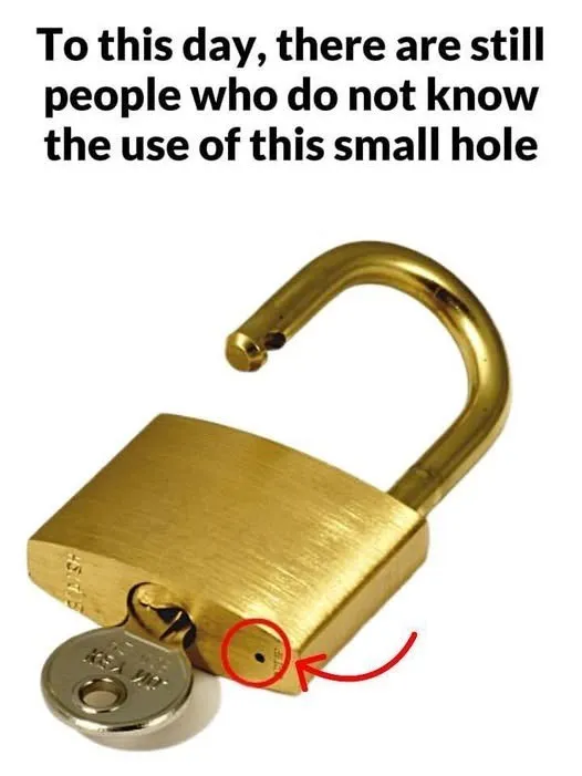 The Tiny Padlock Detail Almost Everyone Ignores But It Quietly Protects Everything You Lock Away
