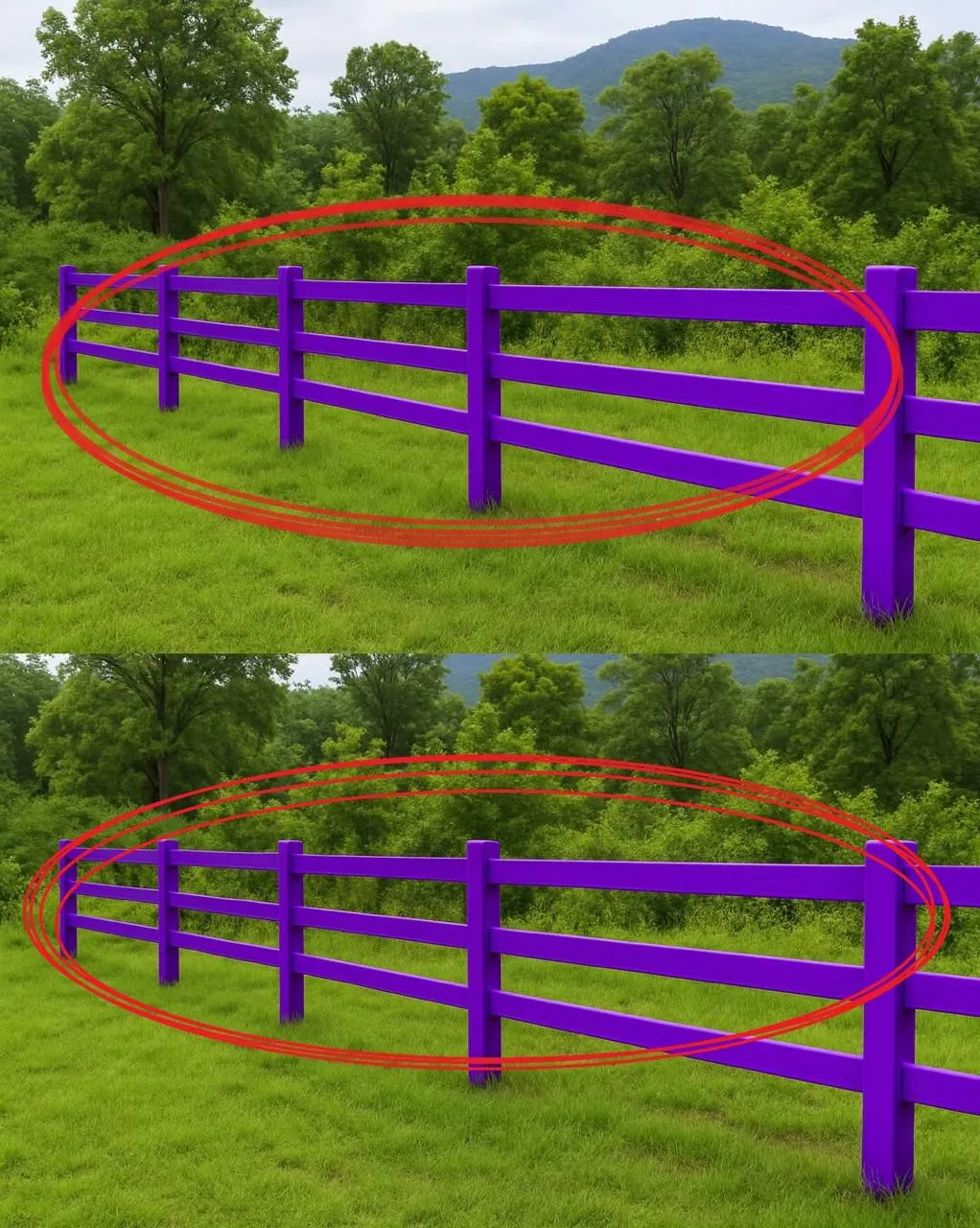 Why a Purple Fence or Tree Paint Could Be a Silent Warning and What That Color Means for Anyone Passing By