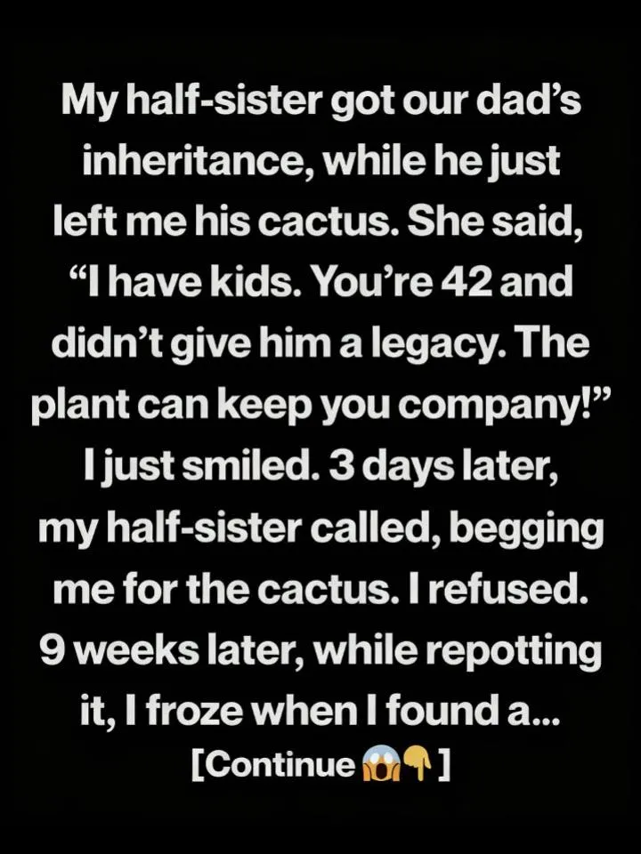 When a Simple Inheritance Became the Only Thing That Truly Lasted