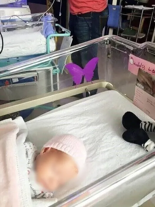 The Quiet Meaning Behind a Purple Butterfly Sticker and the Newborn It Gently Honors