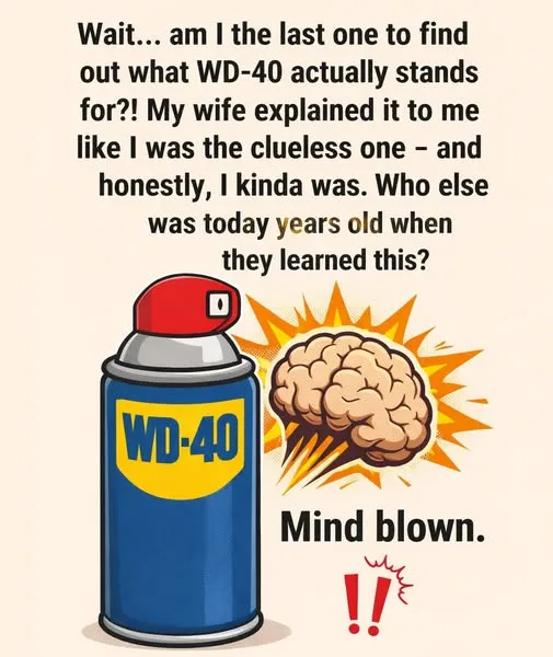 The Mystery Behind the Blue-and-Yellow Can: The Story of WD-40