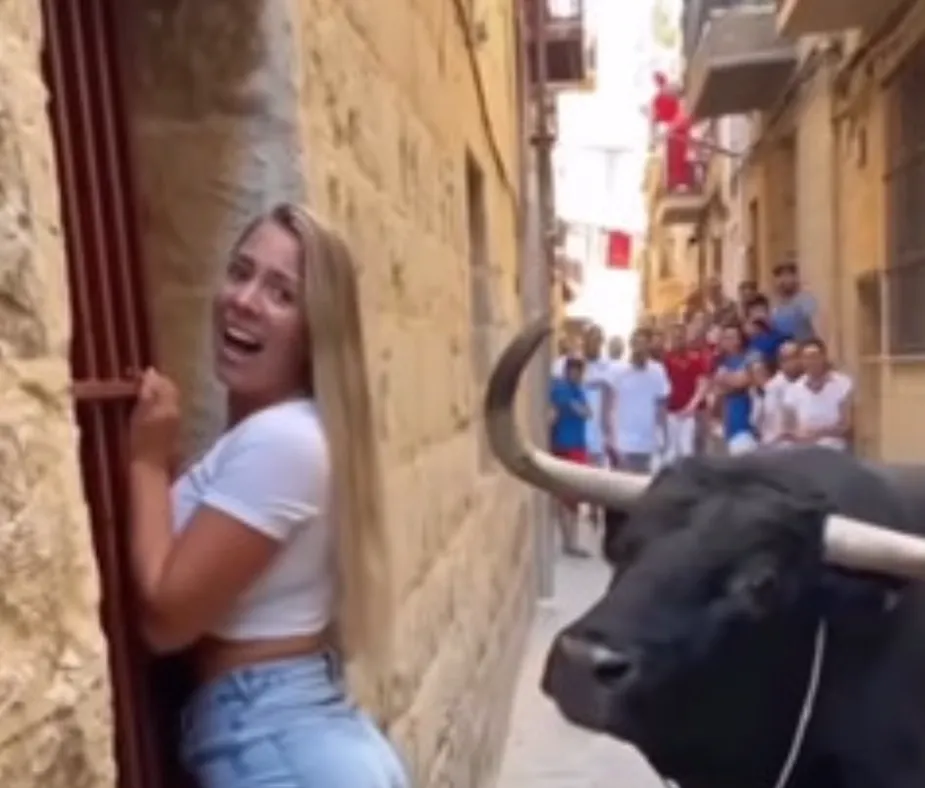 The Tourist Who Locked Eyes With a Charging Bull and Discovered a Moment of Impossible Calm in the Middle of Chaos