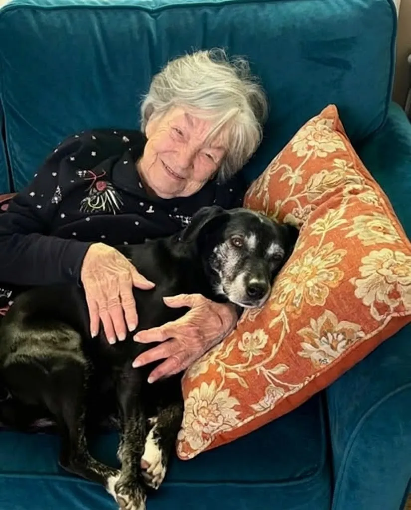 The Loyalty Clause: How a “Worthless” Pet Revealed a Grandmother’s Final Wisdom