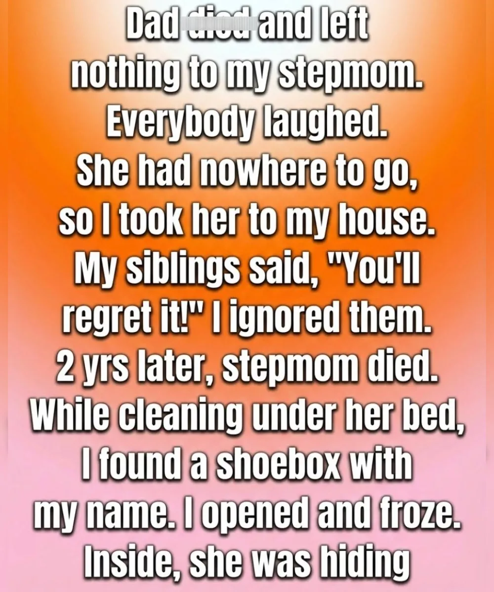 The Hidden Inheritance: How a Legacy of Silence Revealed a Heart of Gold