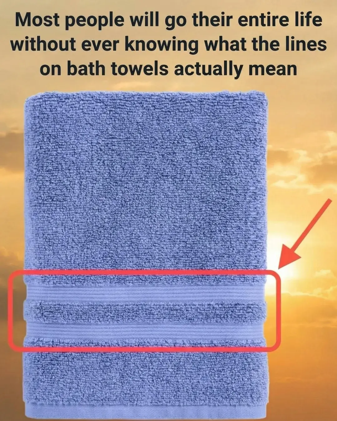 The Dobby Border: Unveiling the Hidden Engineering of the Common Bath Towel