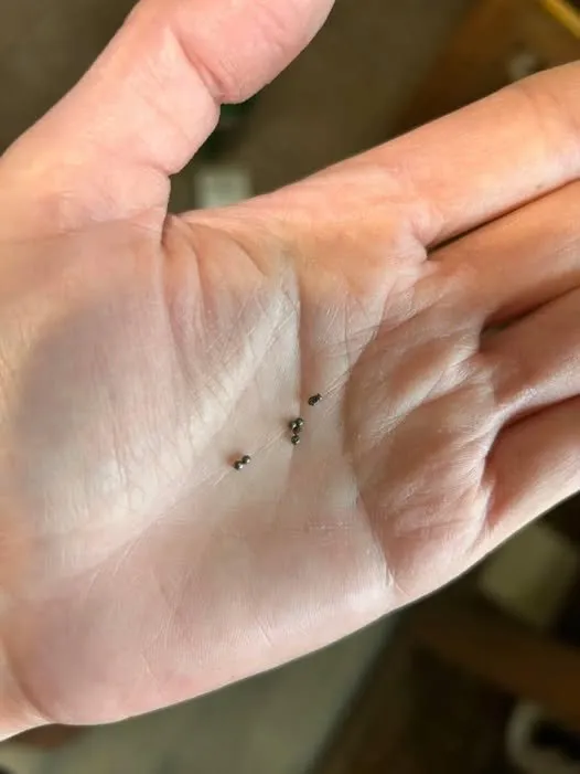 Discovered Tiny Metal Balls Under Your Kitchen Sink Here Is What They Are and What to Do