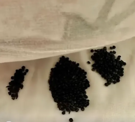 The Tiny Collection of Polished Shadows and the Unseen Geography of a Home Discovered Beneath the Bedding