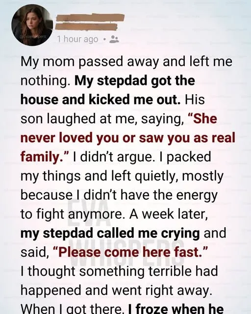 Secret Will Found- After Family Forced Me To Leave My Home-