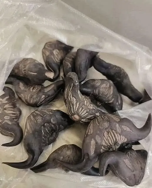 The Mystery Harvest: A Guide to the Unlabeled Produce Bag