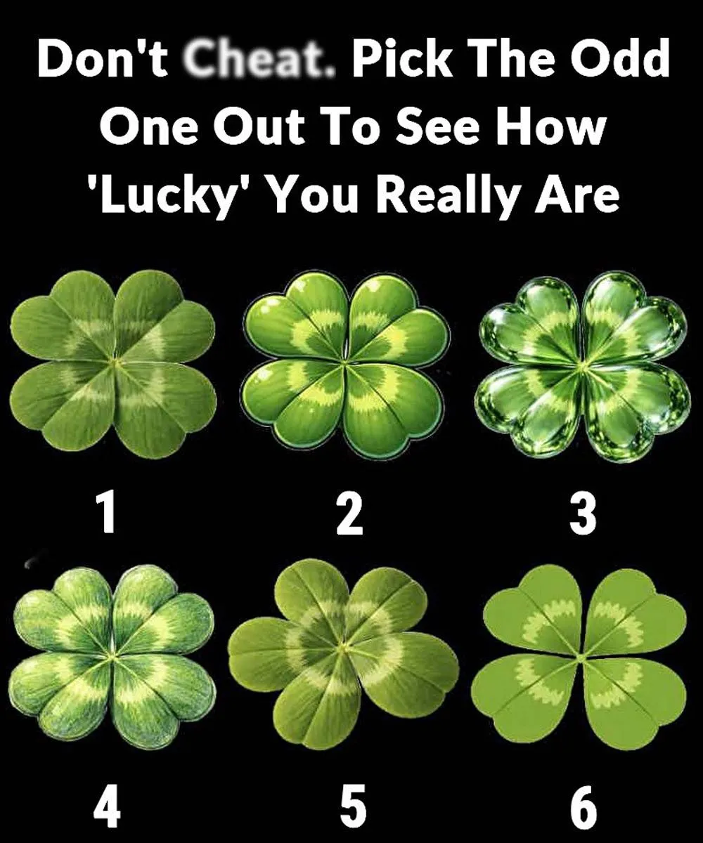 Picking One Odd Clover Can Reveal Your Hidden Personality And Luck