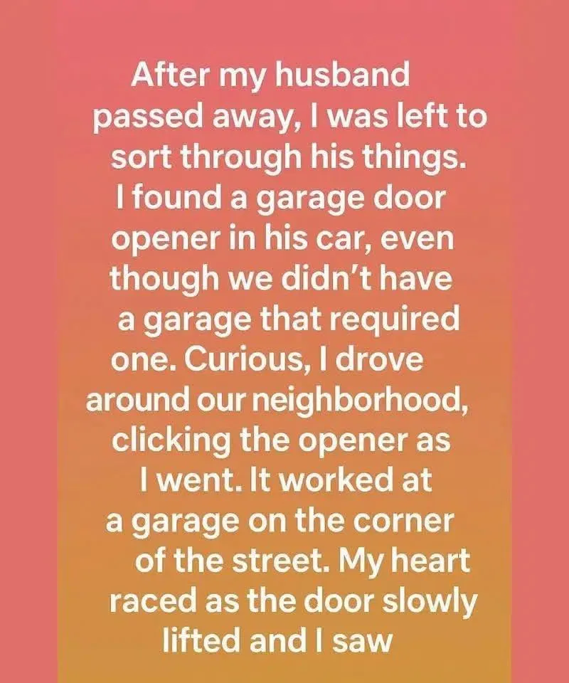 Uncovering A Hidden Garage Opener Revealed My Husbands Beautiful Secret Legacy